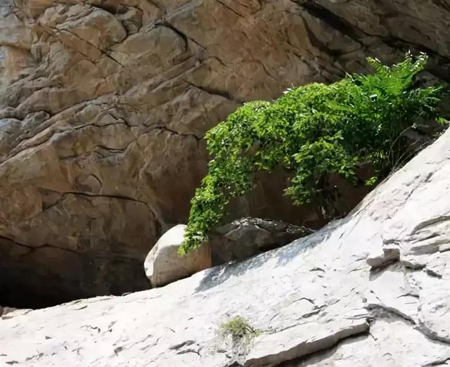 红河谷避暑好去处,宝鸡红河谷景区气温