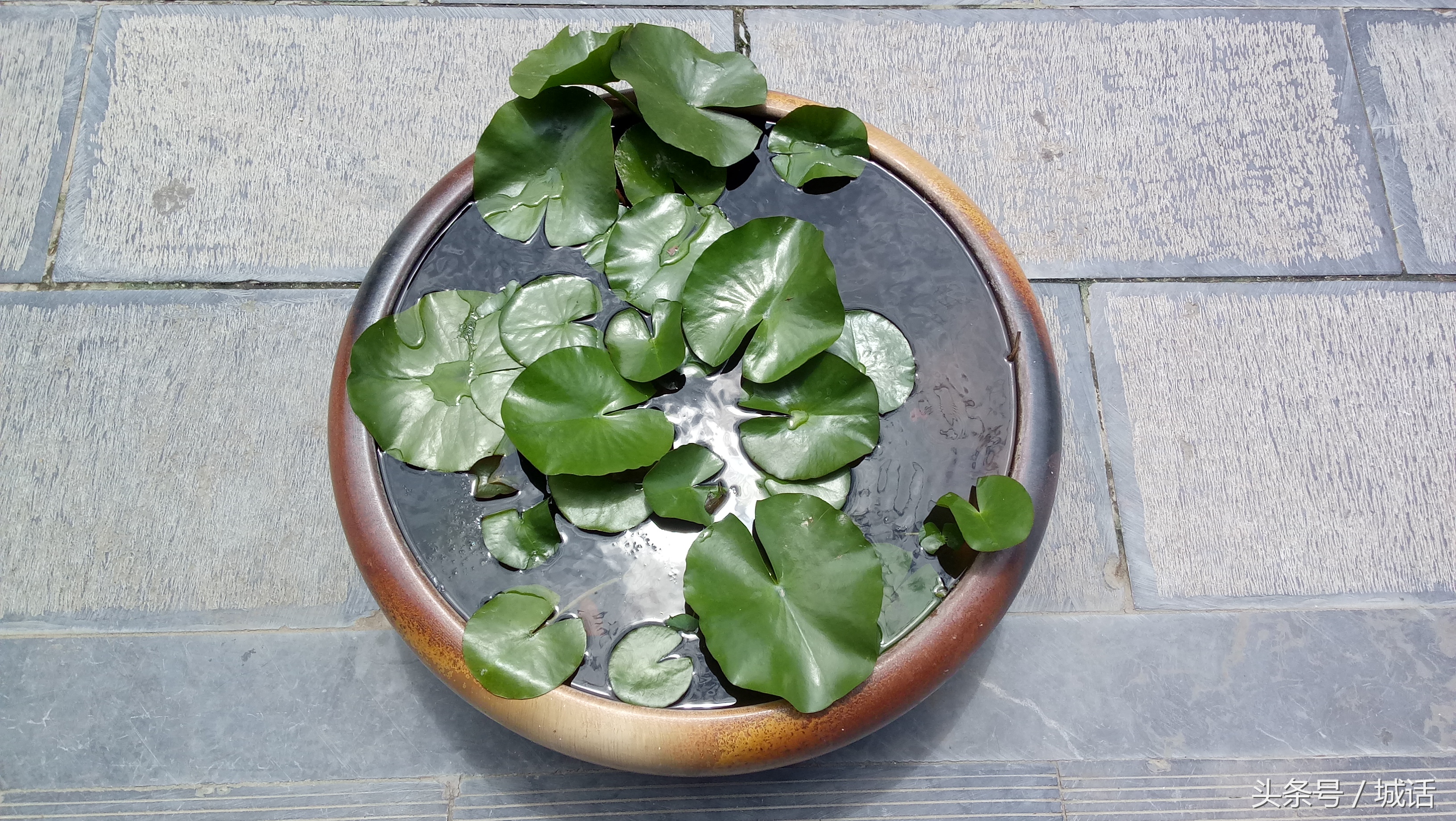 西安景点西安大雁塔,西安的景点大雁塔