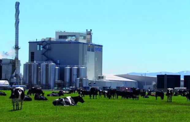 新西兰奶粉最新事件,新西兰奶粉到底是真的吗