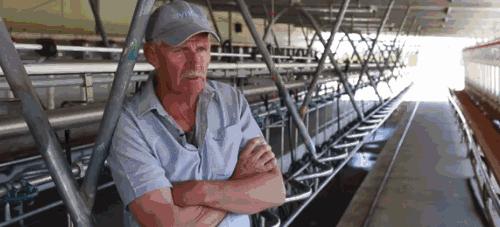 新西兰奶粉最新事件,新西兰奶粉到底是真的吗