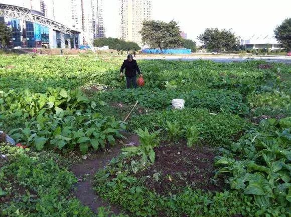 开发商打广告的套路,开发商的营销广告套路