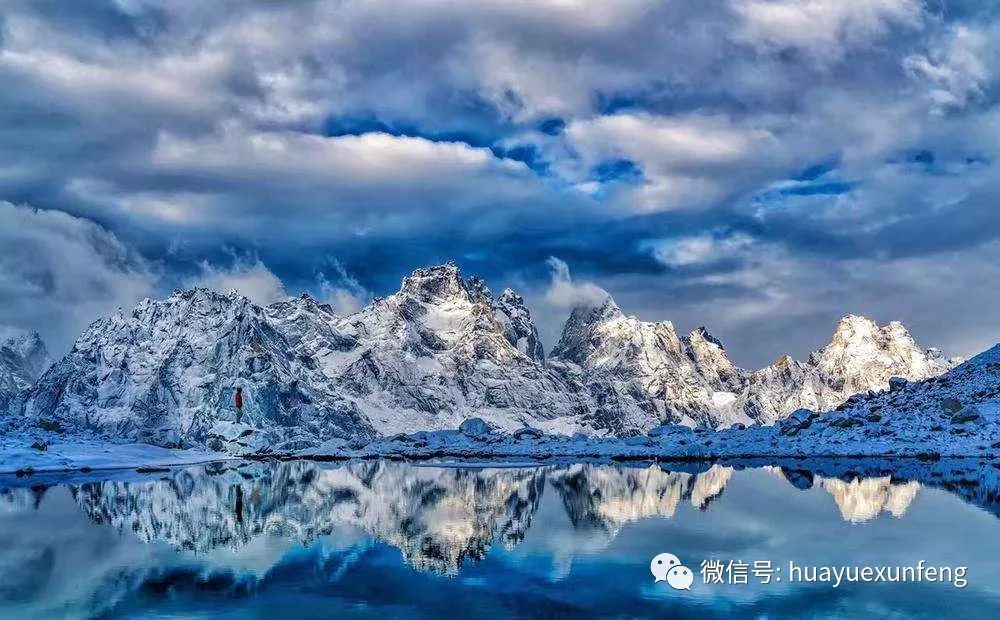 西藏之旅遇到野藏獒,西藏自驾游中遇到一窝小藏獒