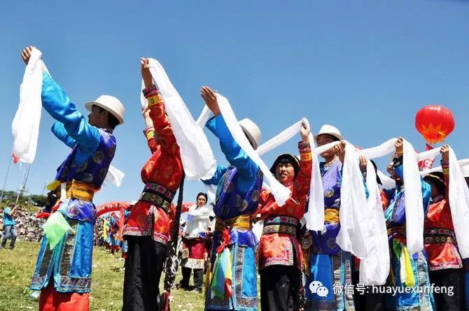 西藏之旅遇到野藏獒,西藏自驾游中遇到一窝小藏獒