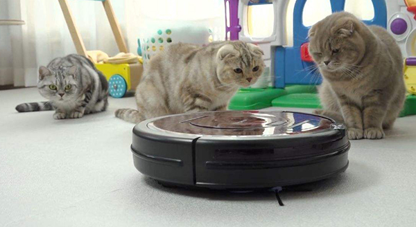 石头扫地机器人问题,扫地机器人不工作是什么问题