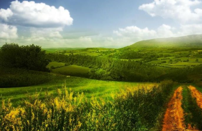 不自爱的女生有多毁三观后续,女生不自爱会有什么悲惨下场啊