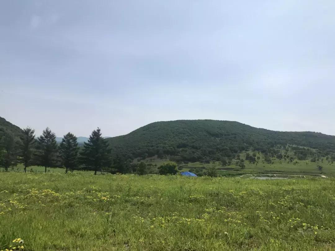 「V游延边·发现精彩」魅力龙井用多彩多姿的形态等你来——“奋进新时代大美延边行”采风活动