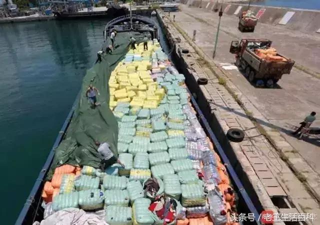 韩国废旧衣服回收,韩国旧衣服回收