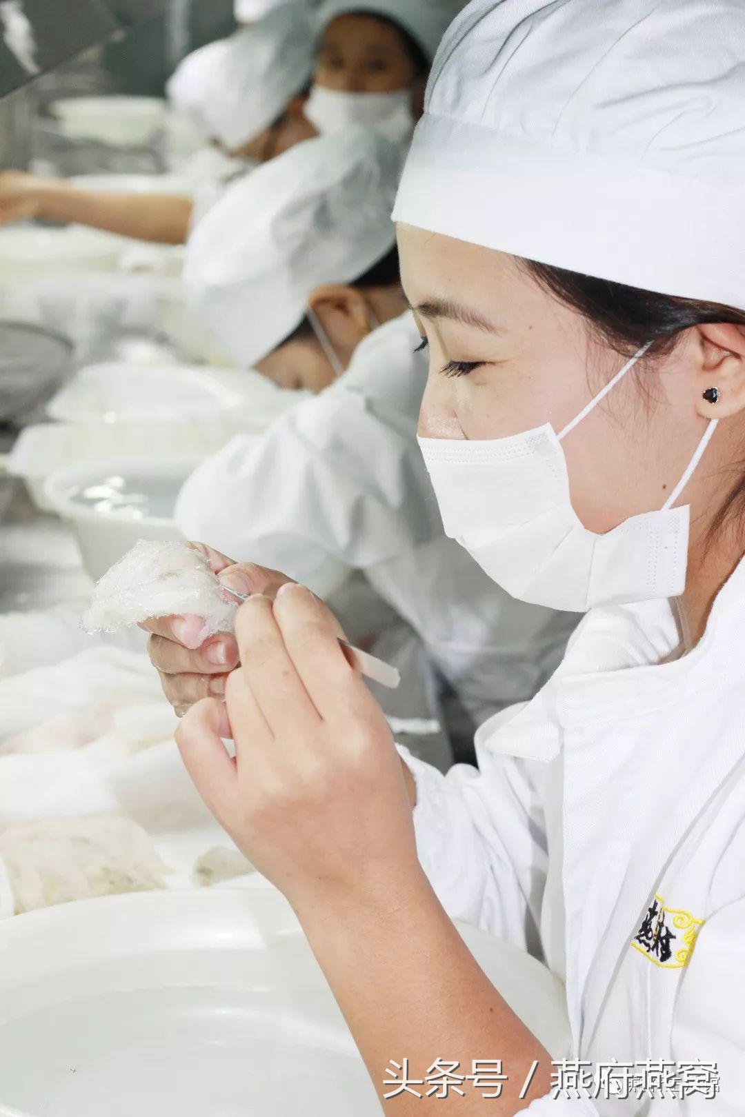 好燕窝是什么做的,好燕窝炖出来什么效果