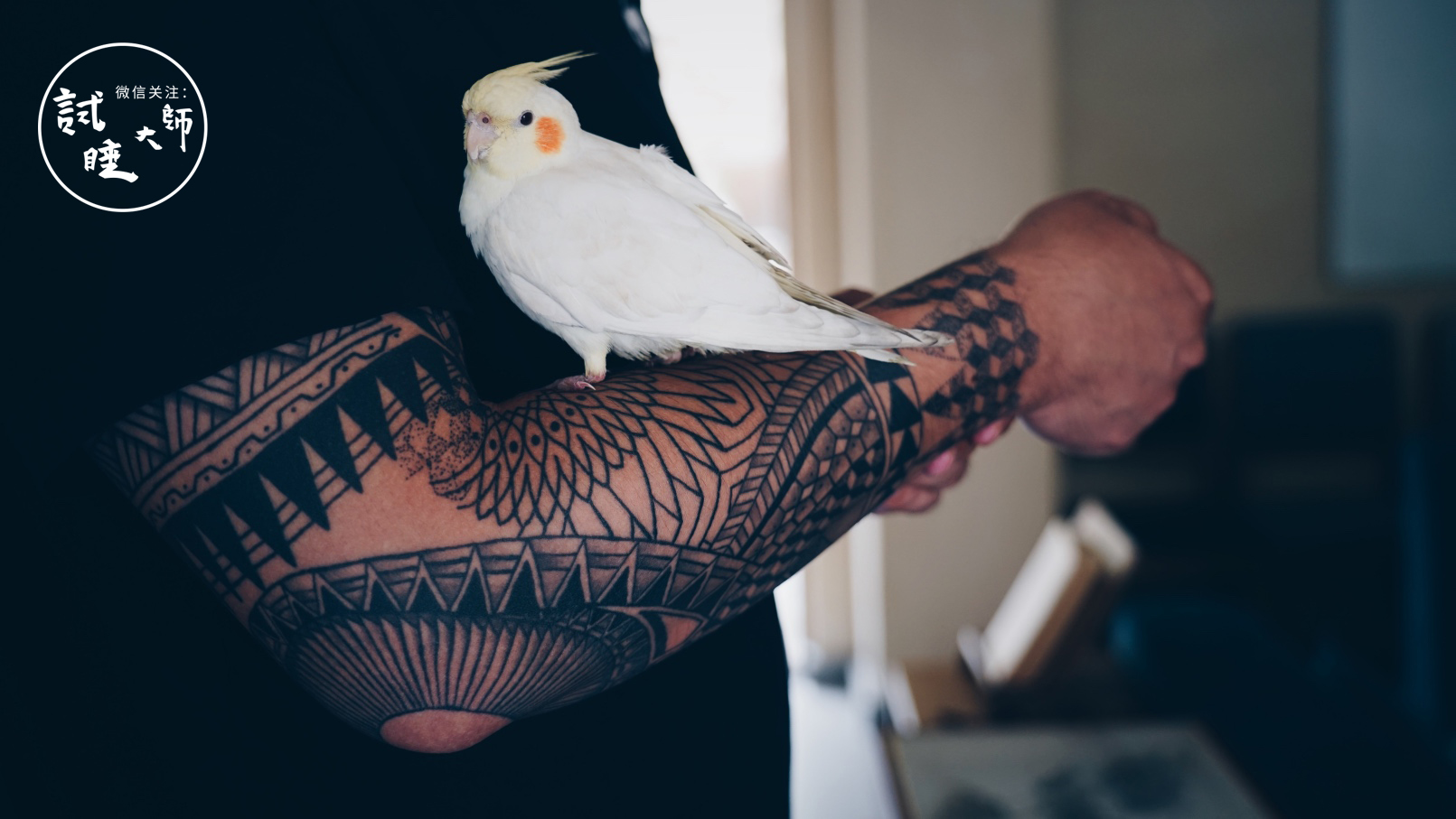 青春旅社王源选秋老师,青春旅社王源莫干山