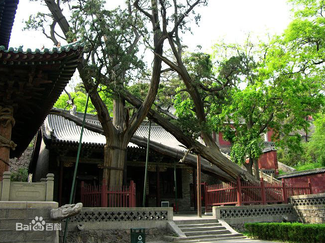 祠堂建筑知识,祠堂文化常识口诀