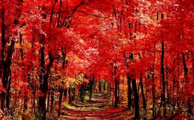 中国红大气豪迈热情洒脱,中国红霸气文案