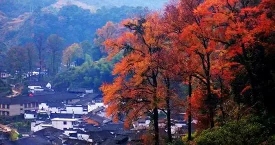 中国红大气豪迈热情洒脱,中国红霸气文案