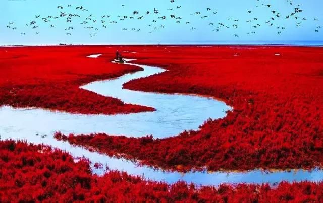 中国红大气豪迈热情洒脱,中国红霸气文案