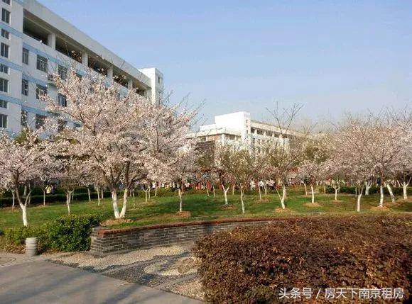 中国最顶级大学宿舍排行榜,南京各大高校的宿舍楼