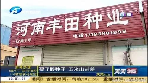 天天315商品,天天315玉米种介绍