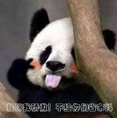 怎么给大熊猫和小熊猫取名,150秒看懂大熊猫起名那些事儿