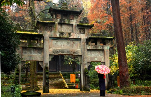 怎么给大熊猫和小熊猫取名,150秒看懂大熊猫起名那些事儿