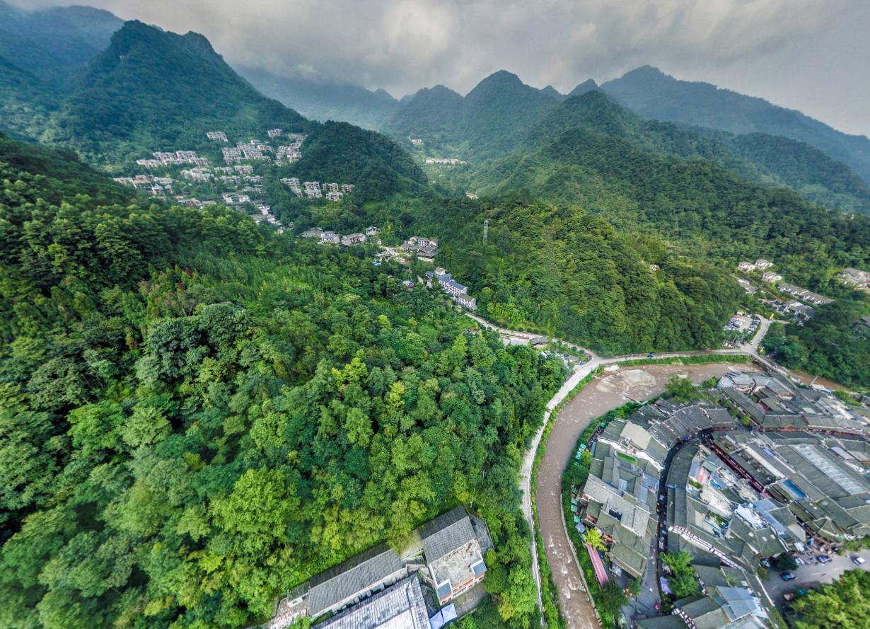 怎么给大熊猫和小熊猫取名,150秒看懂大熊猫起名那些事儿