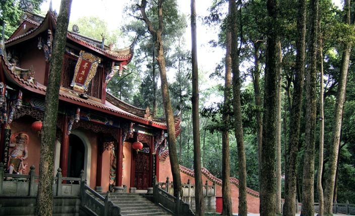 怎么给大熊猫和小熊猫取名,150秒看懂大熊猫起名那些事儿