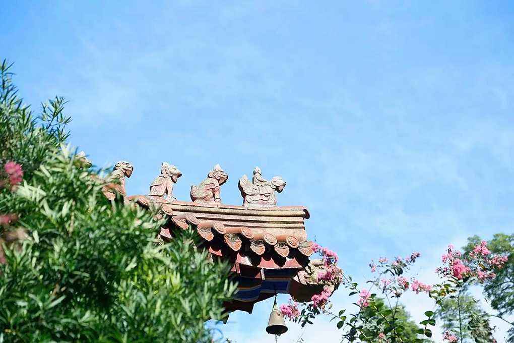 怎么给大熊猫和小熊猫取名,150秒看懂大熊猫起名那些事儿