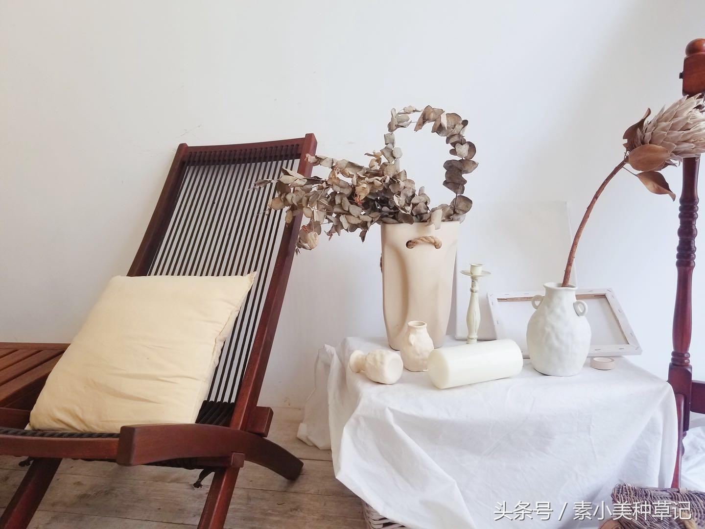 种草记｜在仙人掌的阴影下也有华氏度