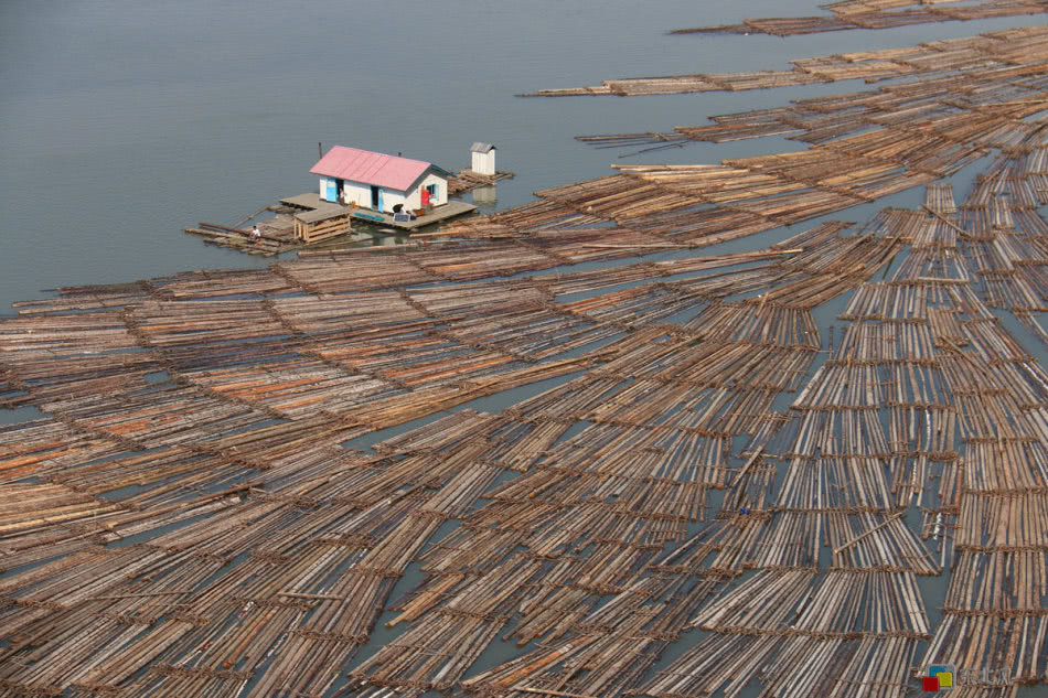 朝鲜百姓这种运输木材的方式，让中国游客感到非常惊讶