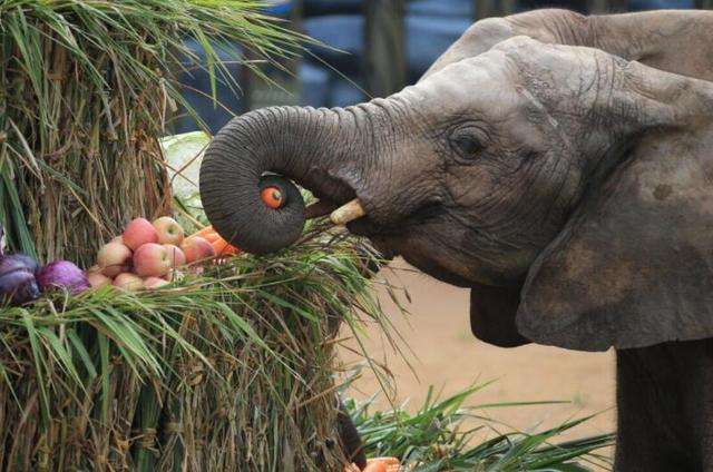 重庆周边三日游最佳攻略最新,重庆周边一日游的绝佳去处春游