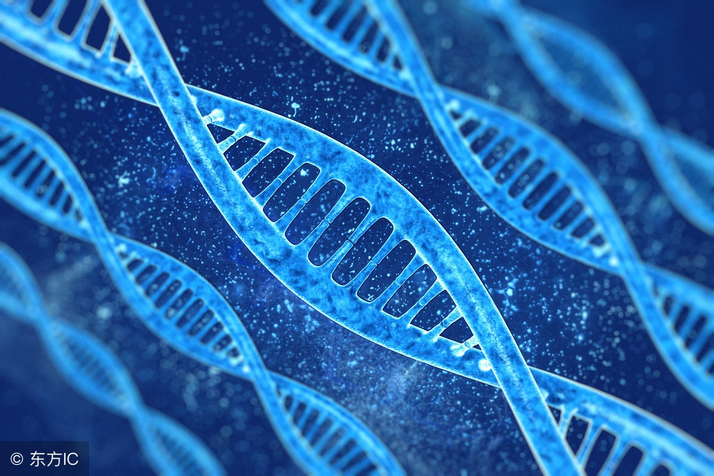 细胞储存费用,储存细胞费用高就很安全吗