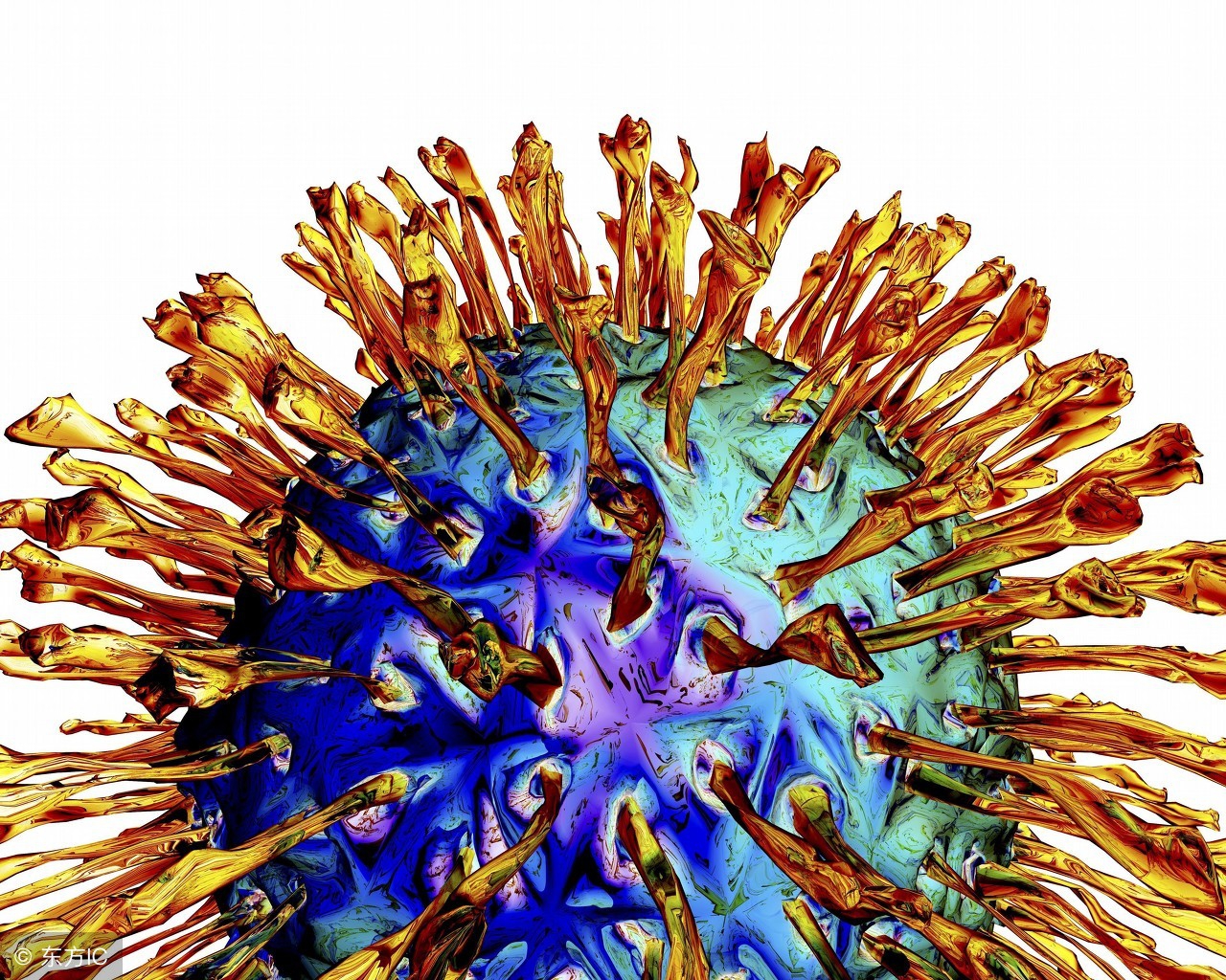 预防单纯疱疹病毒感染的饮食宜忌有哪些呢？