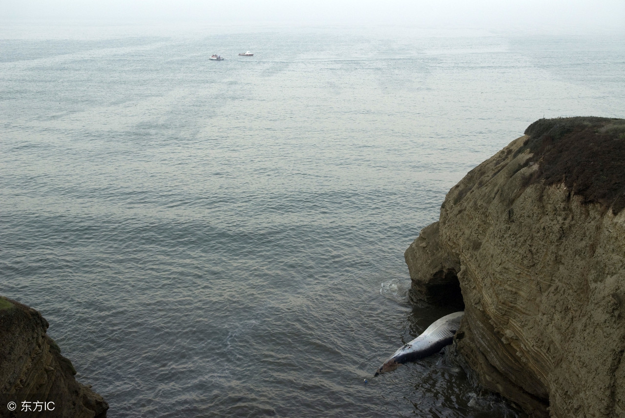 怎么防止尖锐性湿疣复发,怎样避免尖锐性湿疣复发