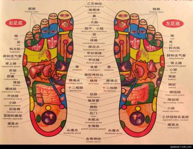 中医判断足部健康,怎么通过足部反射区判断身体健康