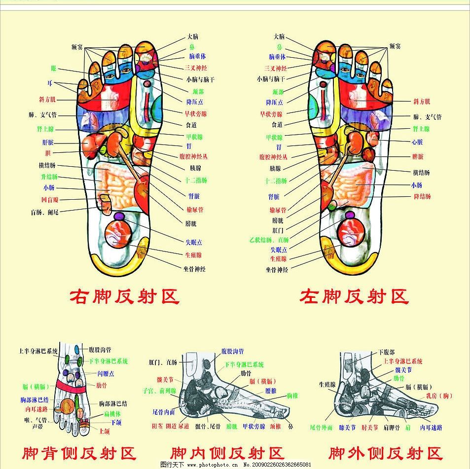 中医判断足部健康,怎么通过足部反射区判断身体健康