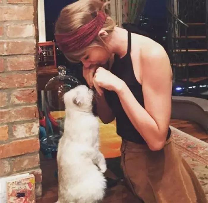 猫咪陪泰勒参演新电影，普通的折耳猫，却成为了巨星的宝物！