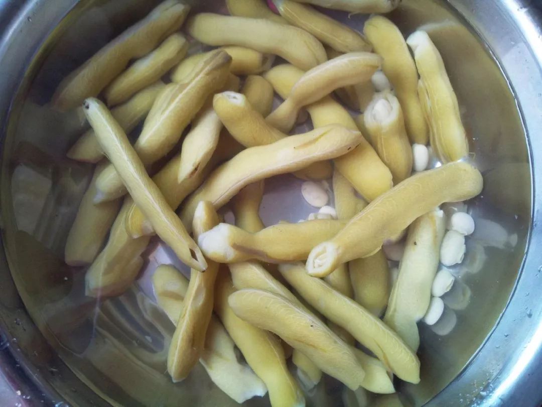 狗爪豆的来历,狗爪豆有什么作用