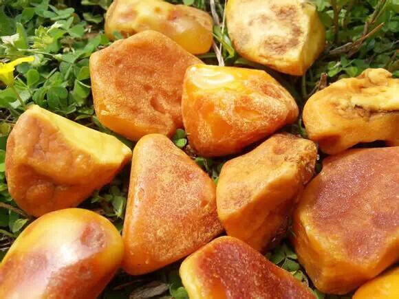 真蜜蜡假蜜蜡的辨别方法图片,蜜蜡假的也有荧光反应么