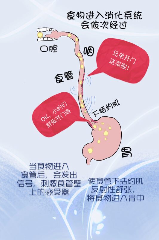 反酸烧心食管堵得慌是怎么回事,胃堵反酸烧心吃什么药