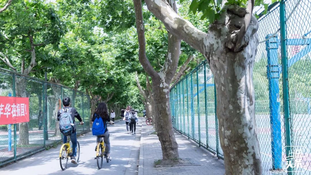 该不该去上海读大学,千万不要来香港读研