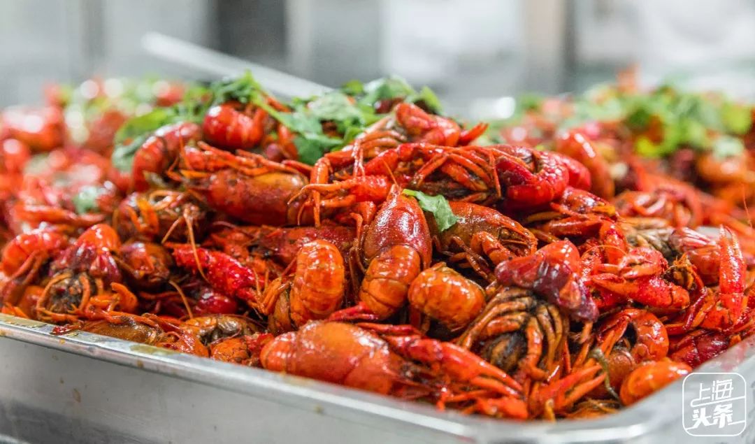 该不该去上海读大学,千万不要来香港读研