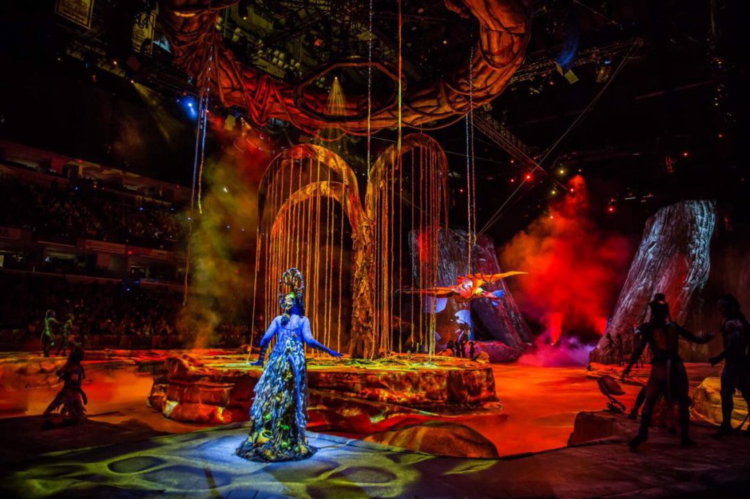 该不该去上海读大学,千万不要来香港读研