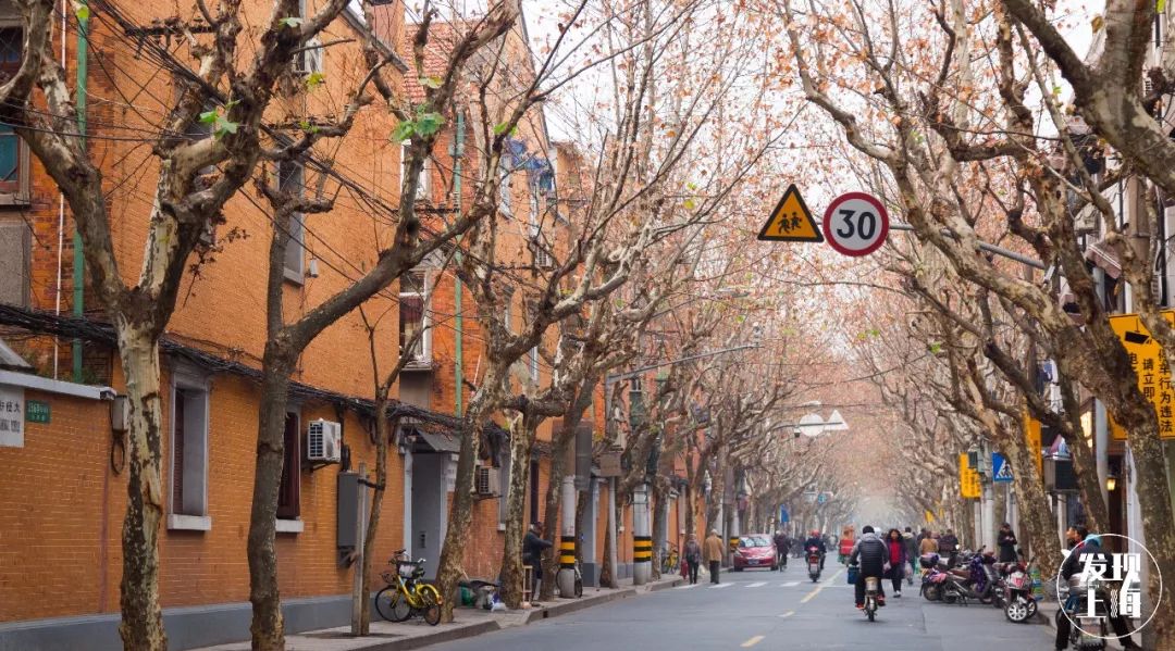 该不该去上海读大学,千万不要来香港读研