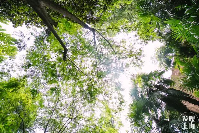 该不该去上海读大学,千万不要来香港读研