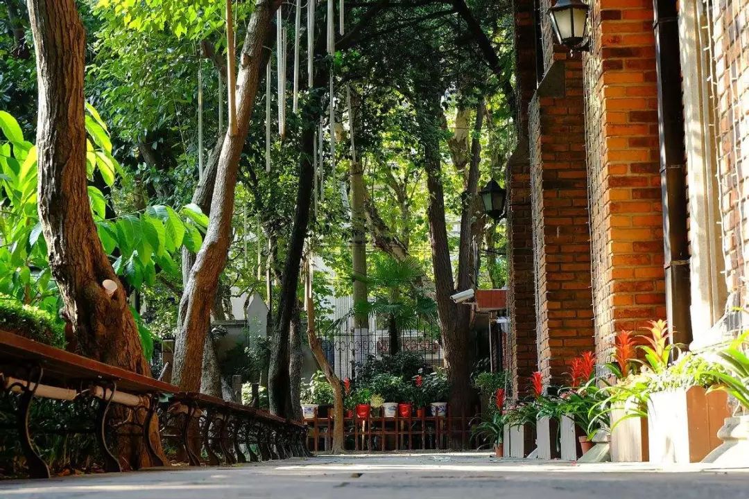 该不该去上海读大学,千万不要来香港读研