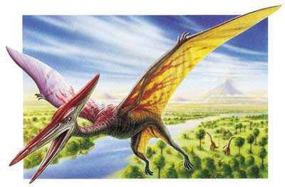 对恐龙的认识简说,儿童认识恐龙的视频