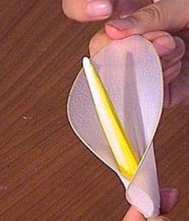 怎么做丝网花教程,袜带花朵制作