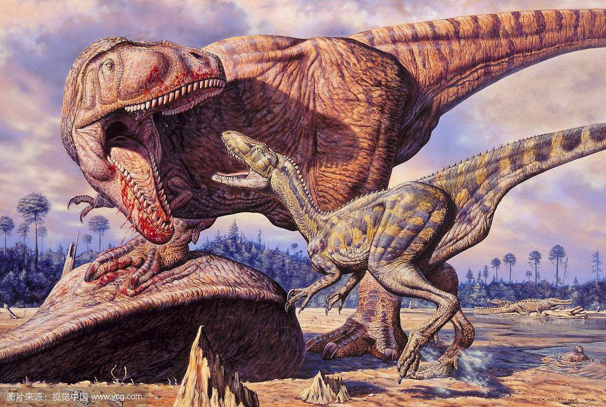 对恐龙的认识简说,儿童认识恐龙的视频