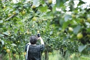 早fun｜这个“老赖”竟是昆明市政协委员！执行干警动真格才求情