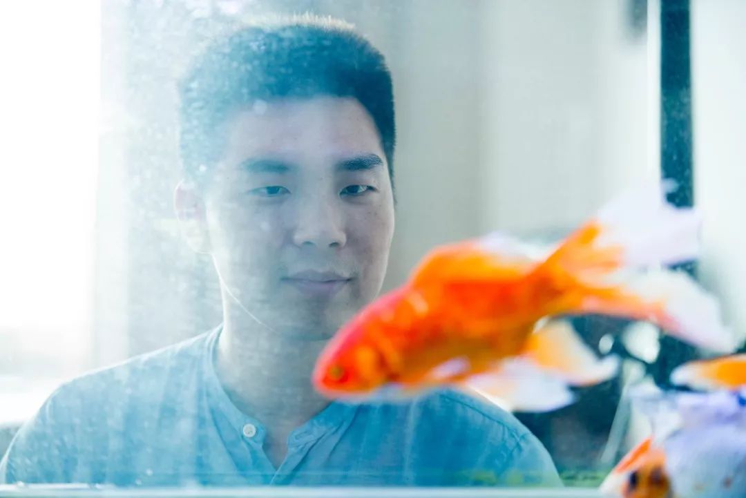 拼多多淘宝电商运营培训班,拼多多如何跟淘宝店铺对接