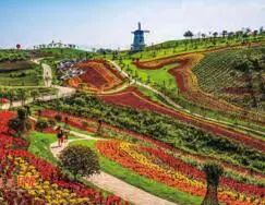 分享随手一拍都是美景,分享随走随拍大自然的美景