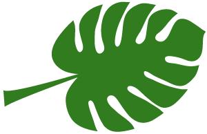 夏天健康的100个常识,关于夏天健康小常识5条