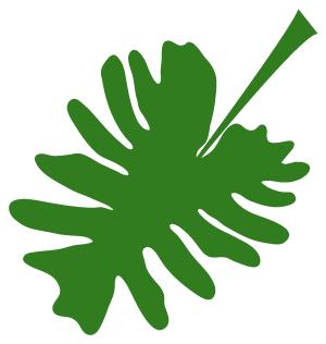 夏天健康的100个常识,关于夏天健康小常识5条